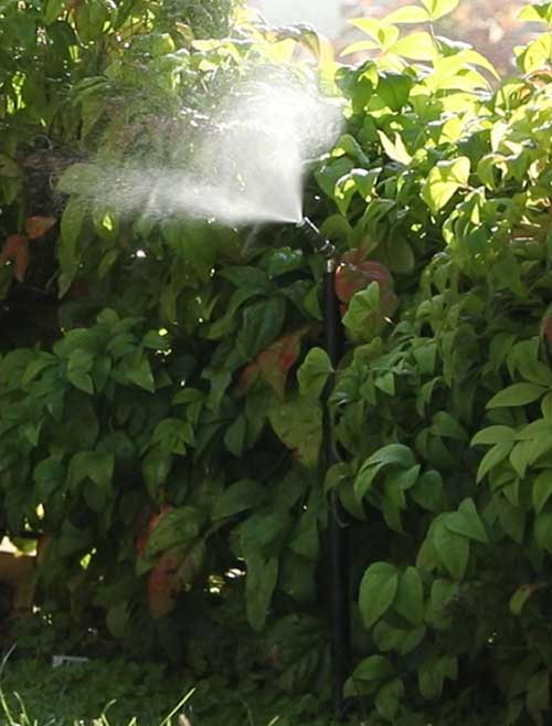 Impianto antizanzare perimetrale e automatico da giardino. Risolve il problema delle zanzare con un sistema antizanzare ideale per giardini privati, agriturismi, hotel e ristoranti.